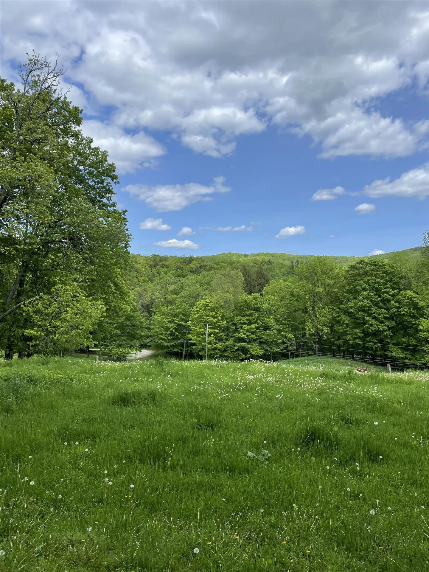 234 Randall Road Woodstock VT 05091