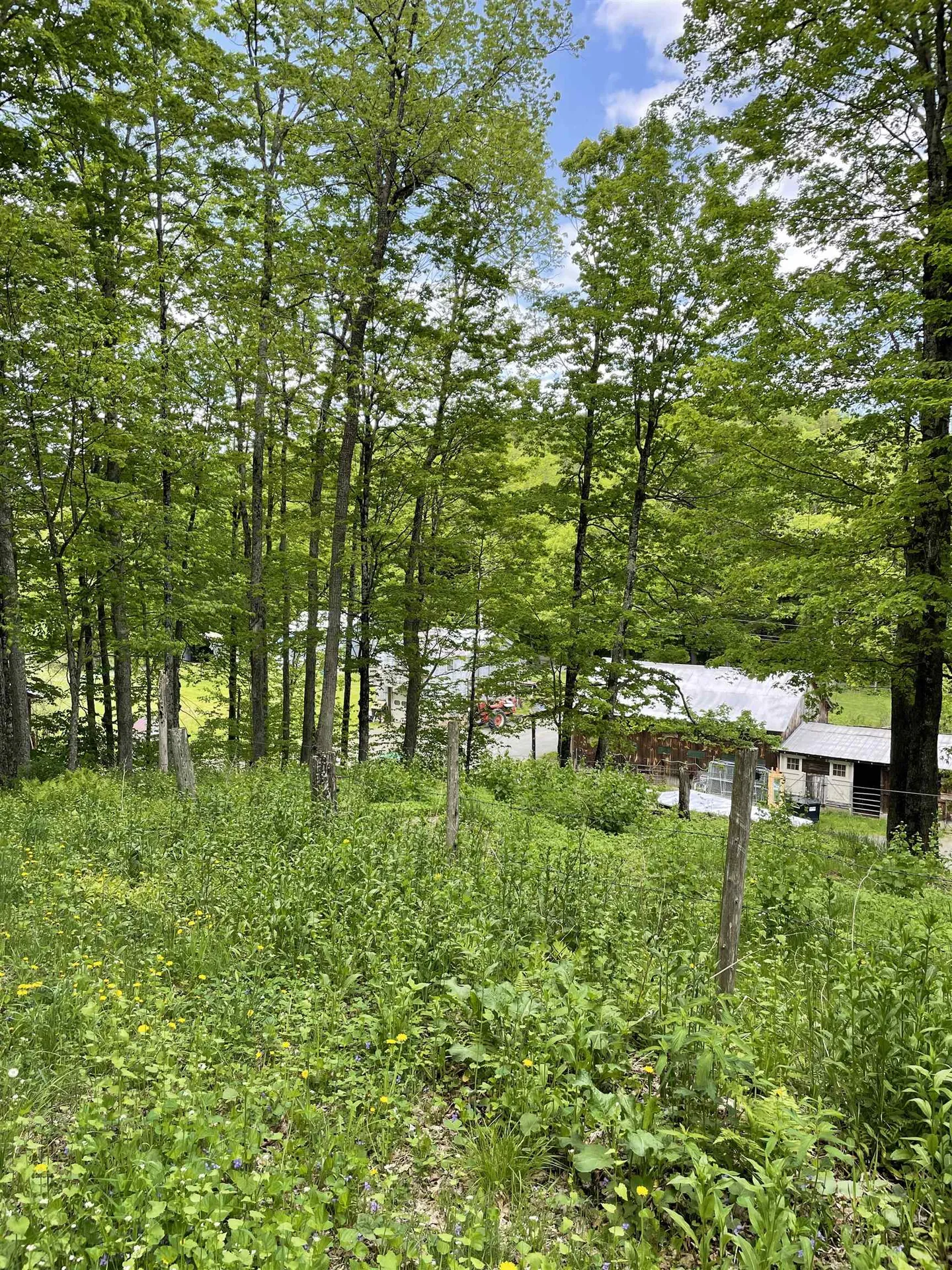 234 Randall Road Woodstock VT 05091