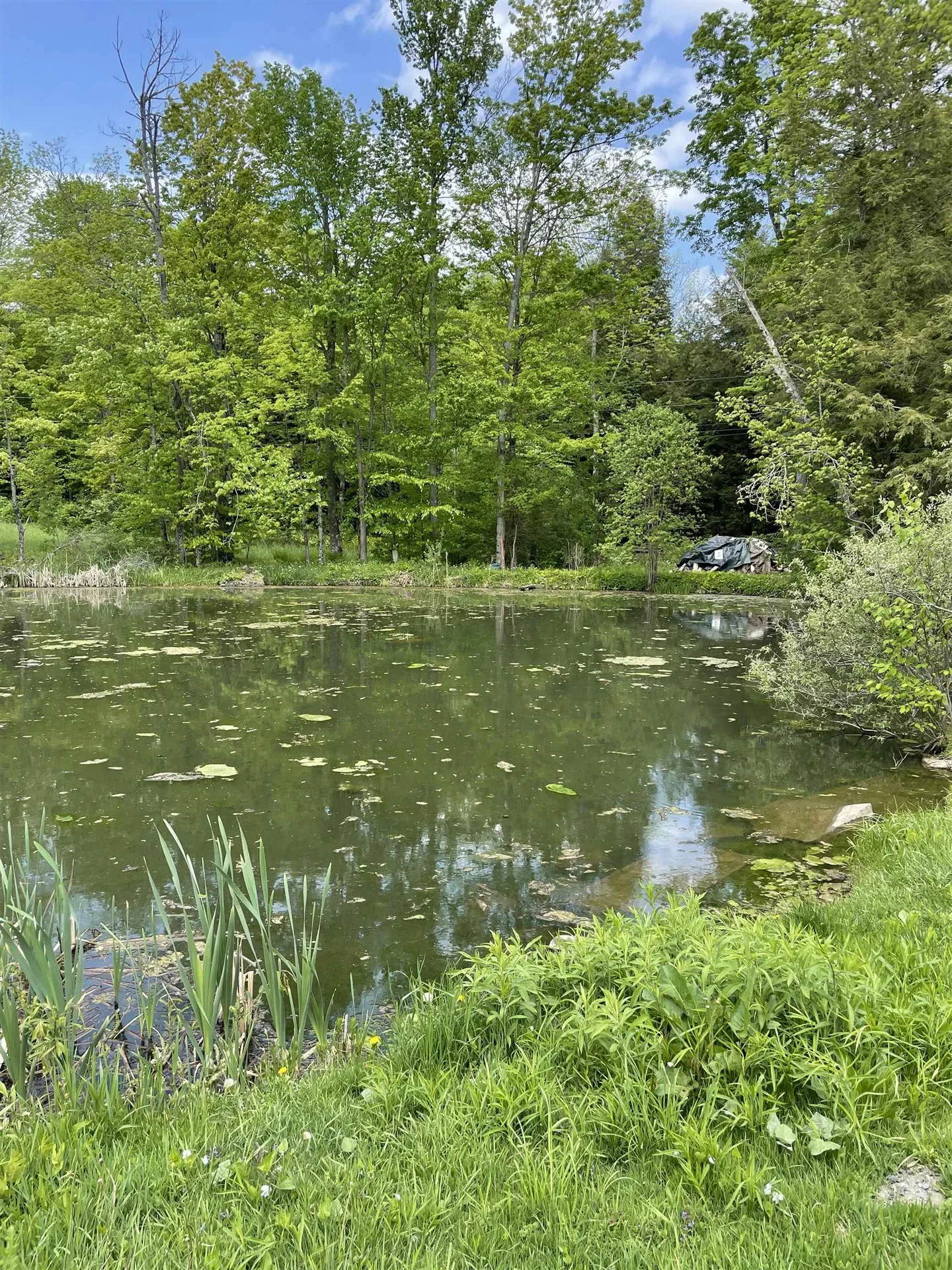 234 Randall Road Woodstock VT 05091