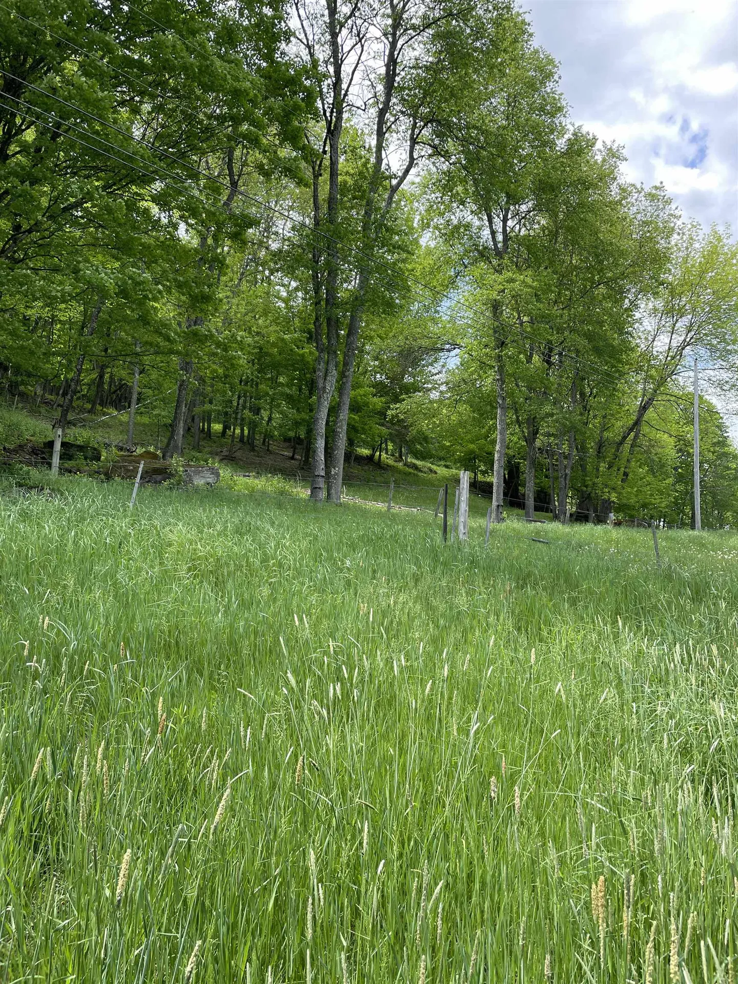 234 Randall Road Woodstock VT 05091