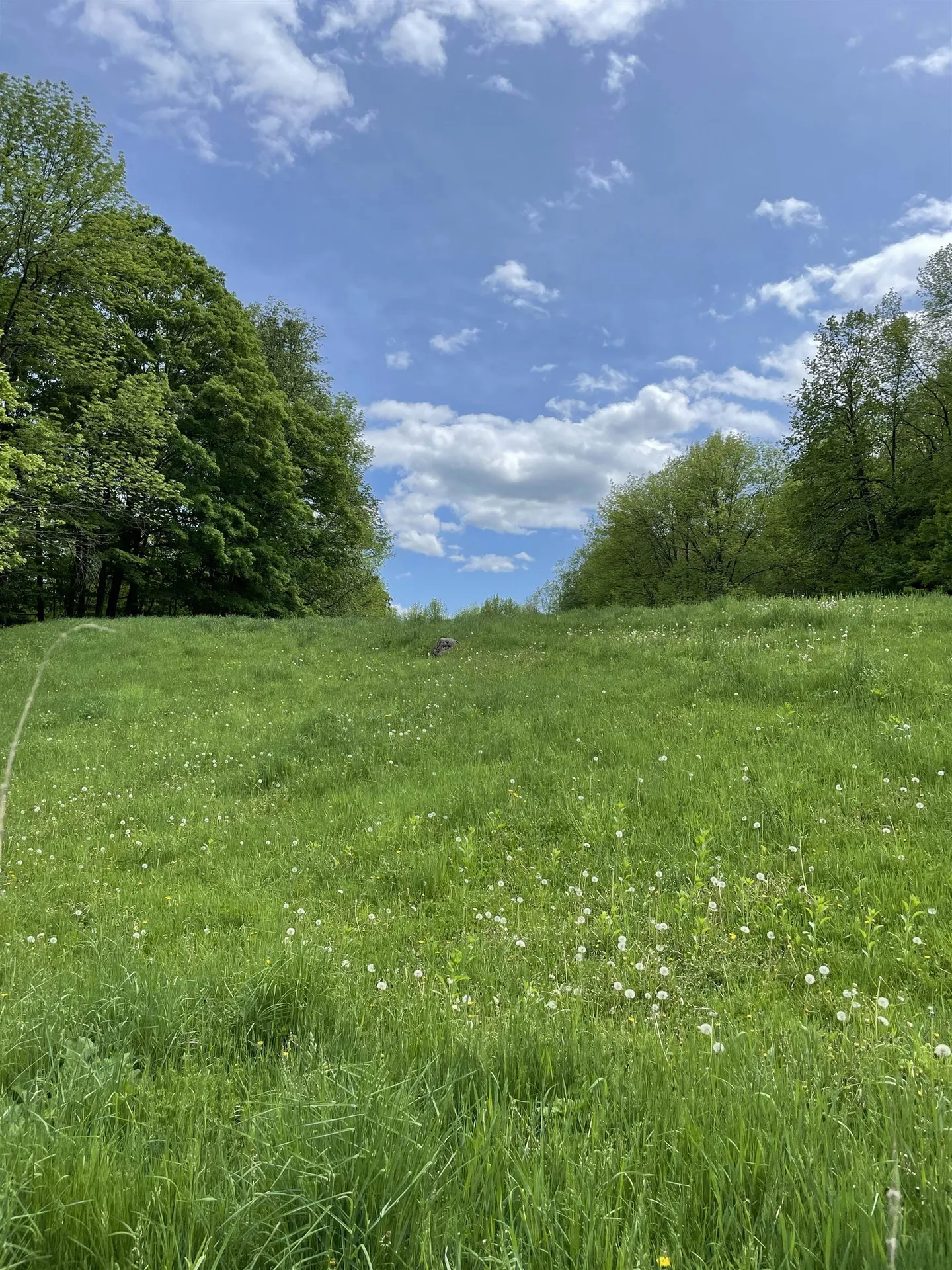 234 Randall Road Woodstock VT 05091