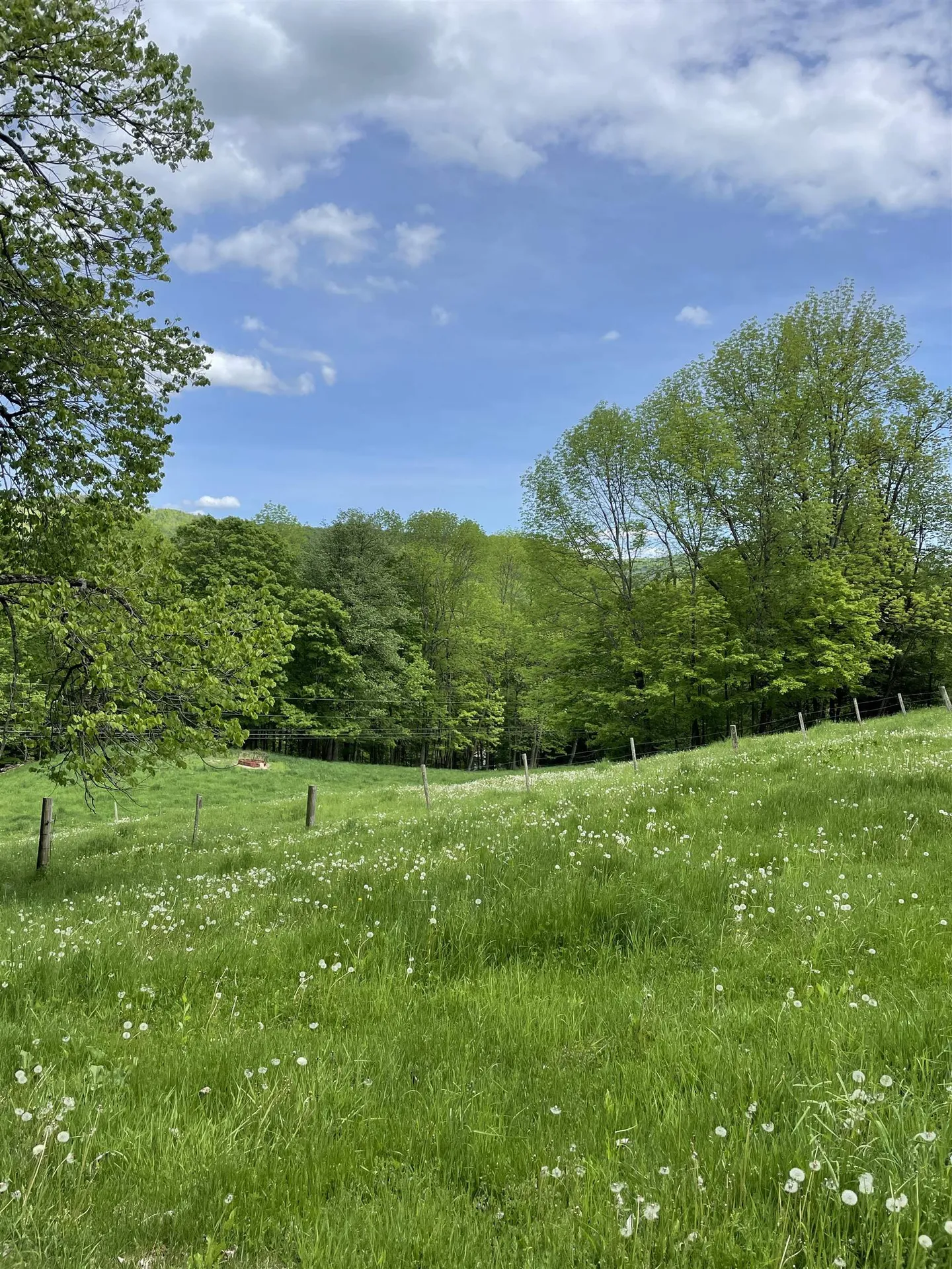 234 Randall Road Woodstock VT 05091