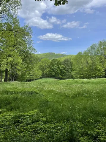 234 Randall Road Woodstock VT 05091
