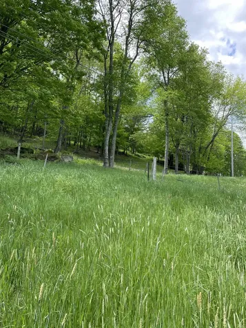 234 Randall Road Woodstock VT 05091