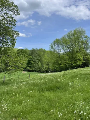 234 Randall Road Woodstock VT 05091