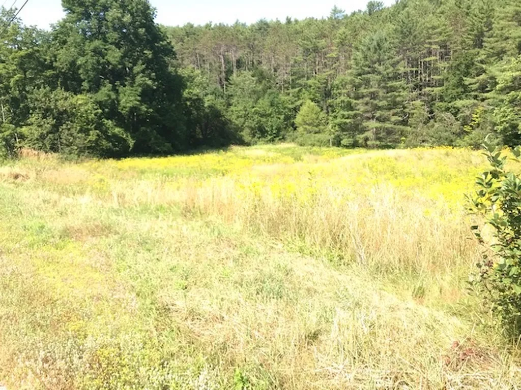 00 Route 120 Cornish NH 03746