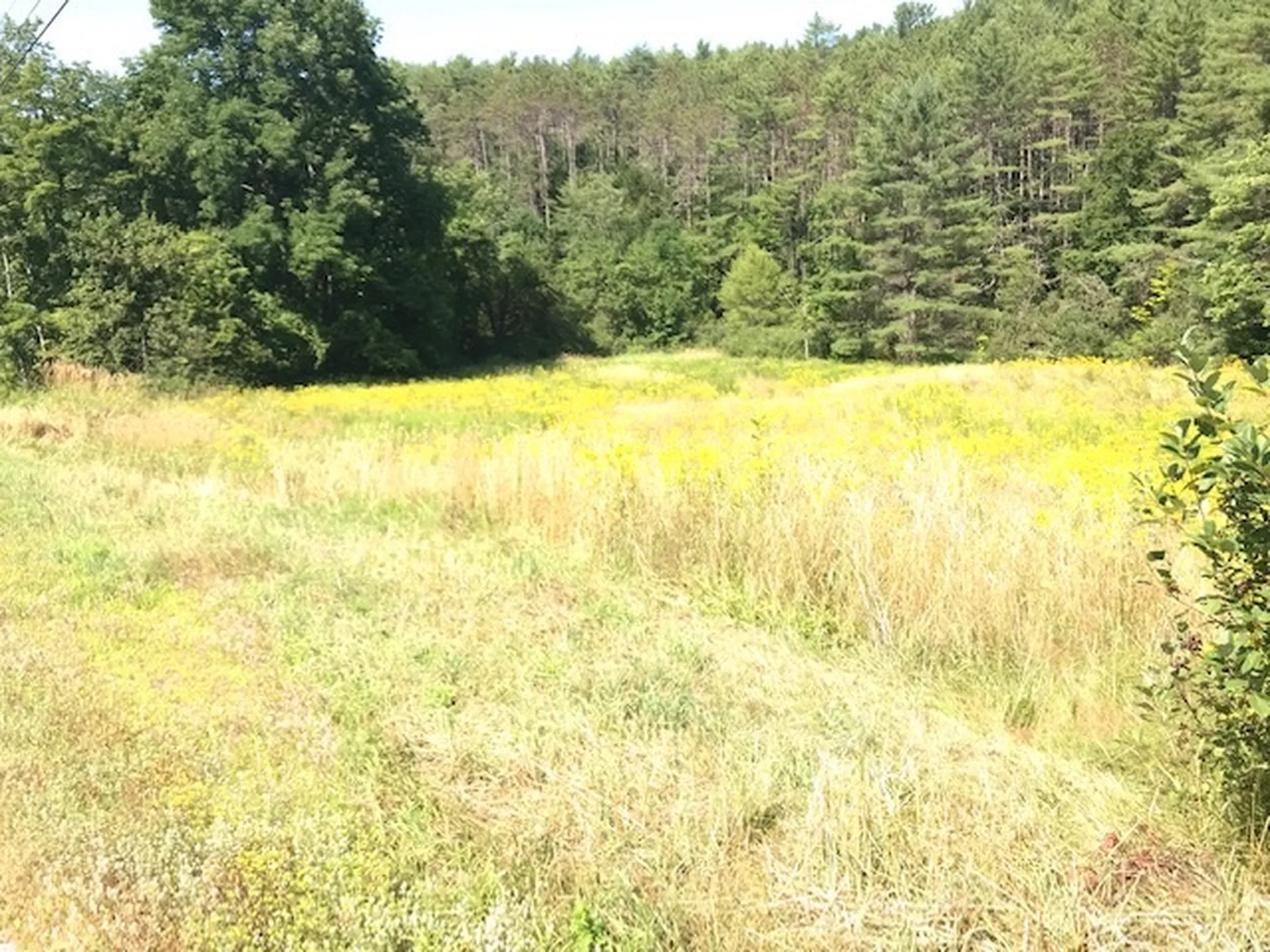 00 Route 120 Cornish NH 03746