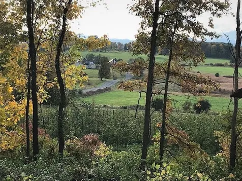 324 Swinton Road Bridport VT 05734