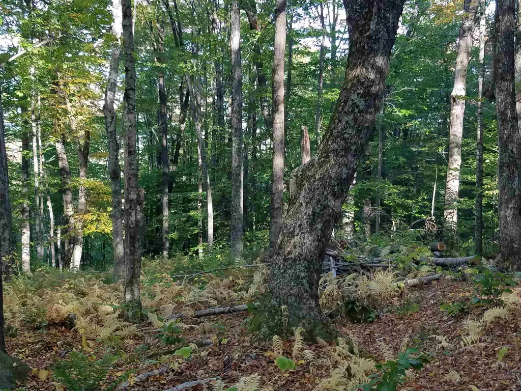 2.6ac Ellen Road Campton NH 03223