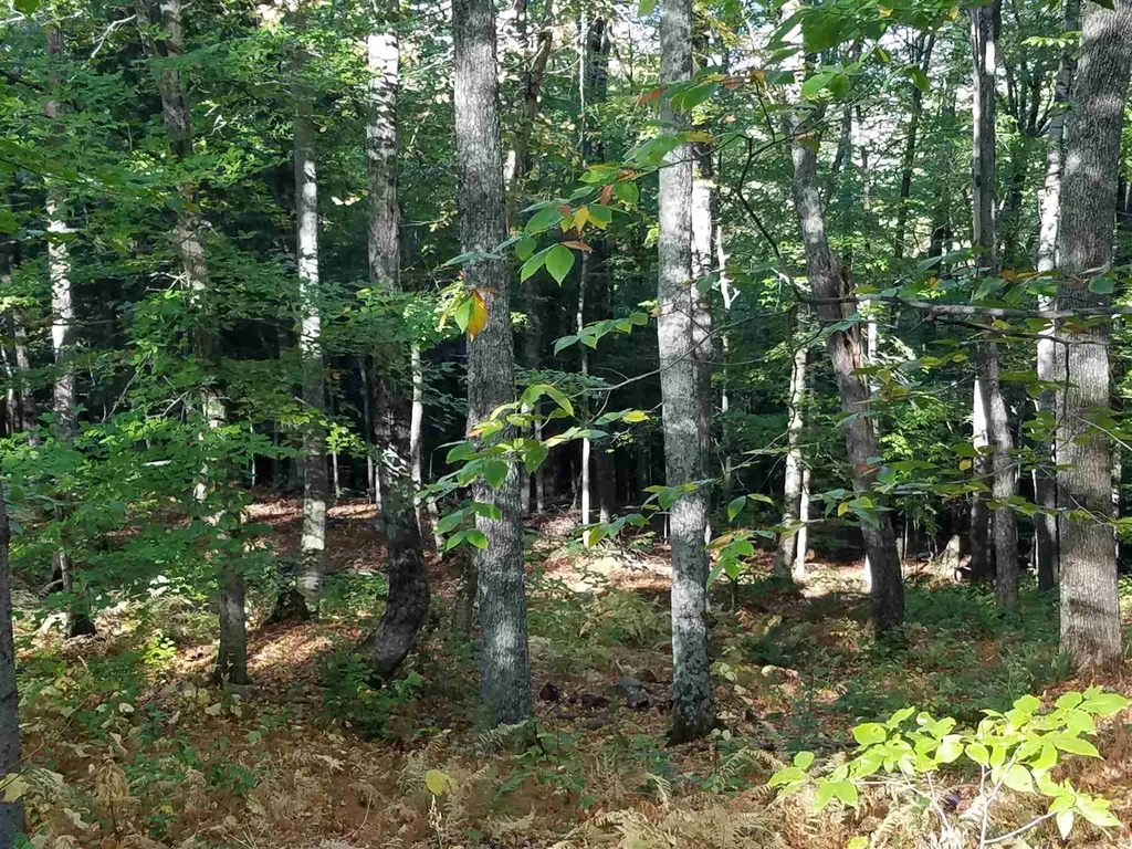 2.6ac Ellen Road Campton NH 03223