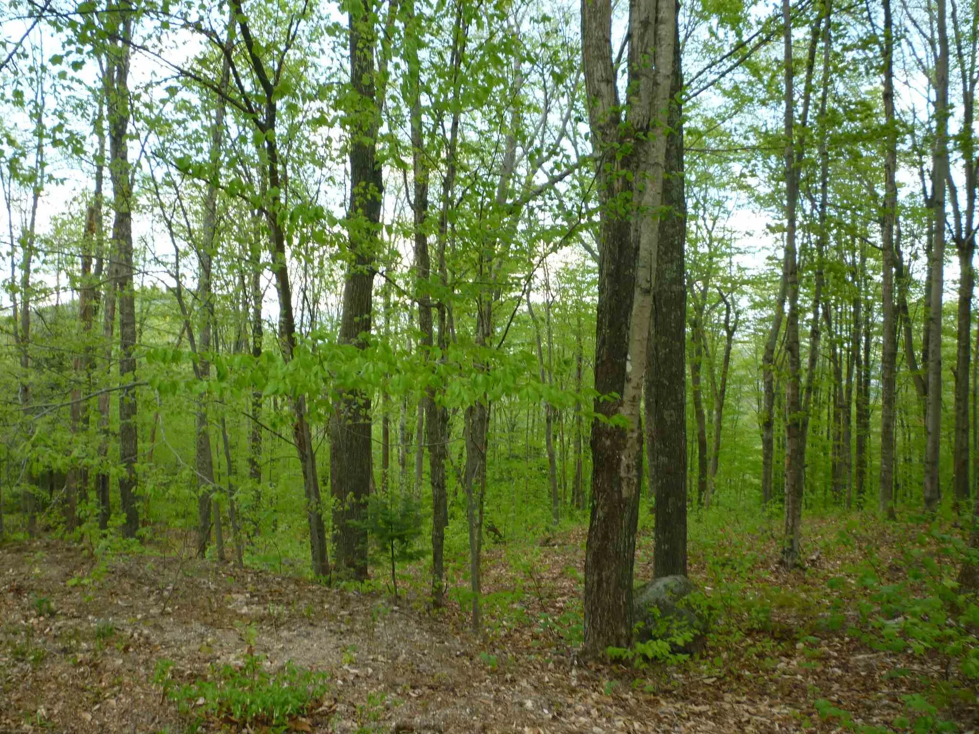 2.6ac Ellen Road Campton NH 03223