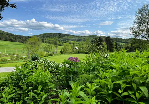 34 Hillside Lane Waterford VT 05819
