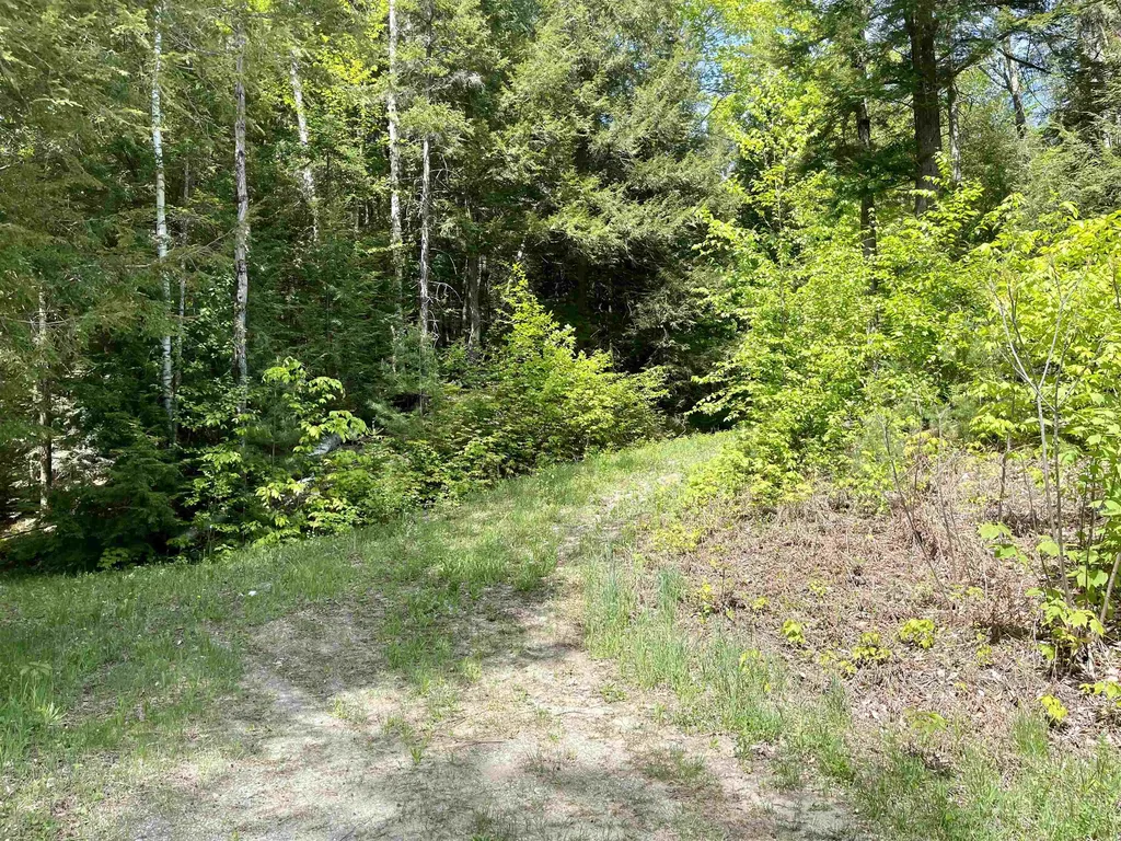 0 Saxie Welch Trail Newbury VT 05051
