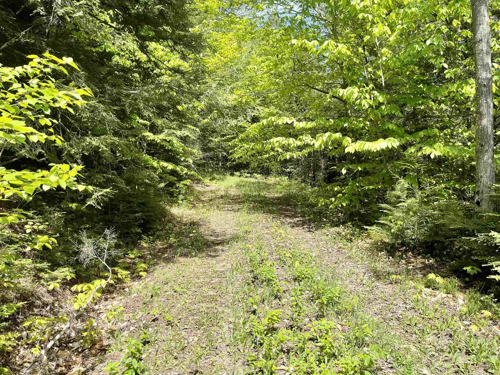 0 Saxie Welch Trail Newbury VT 05051