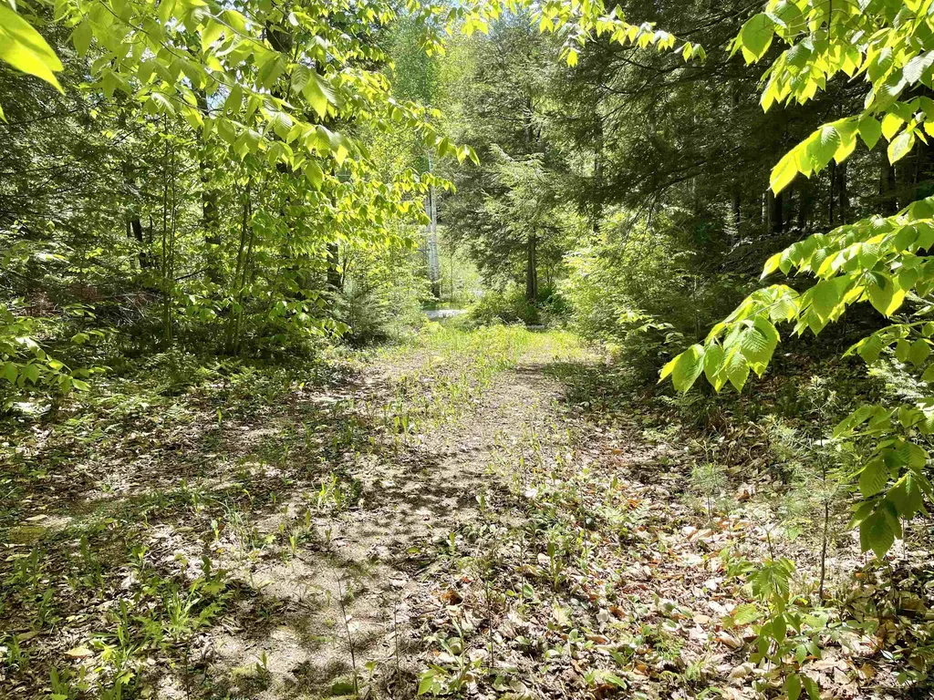 0 Saxie Welch Trail Newbury VT 05051