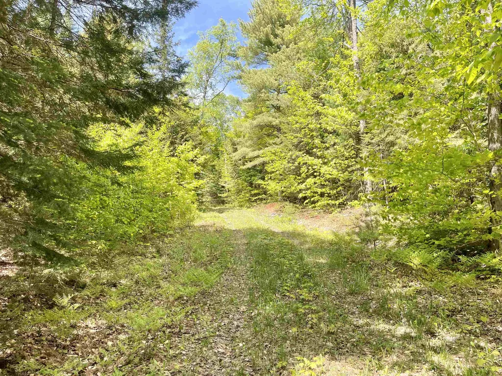 0 Saxie Welch Trail Newbury VT 05051
