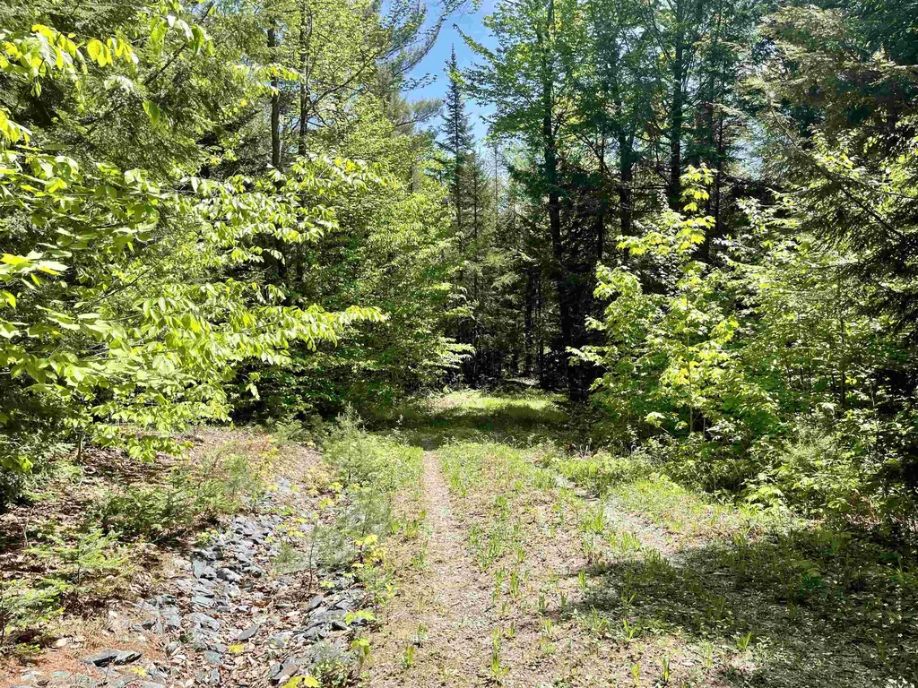 0 Saxie Welch Trail Newbury VT 05051