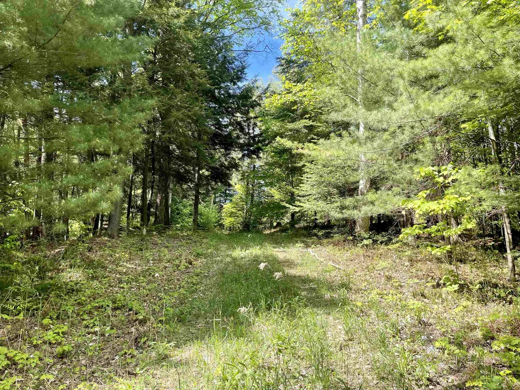 0 Saxie Welch Trail Newbury VT 05051