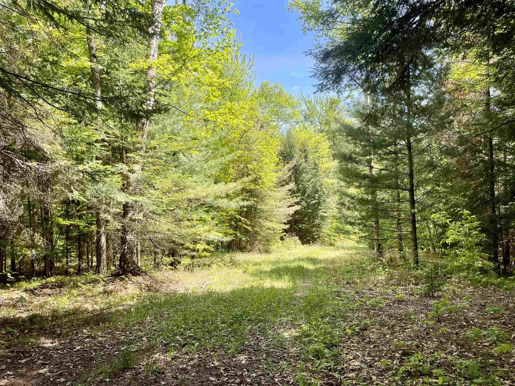 0 Saxie Welch Trail Newbury VT 05051