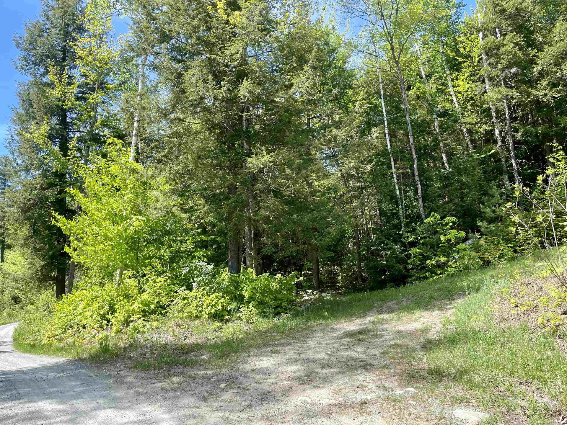 0 Saxie Welch Trail Newbury VT 05051