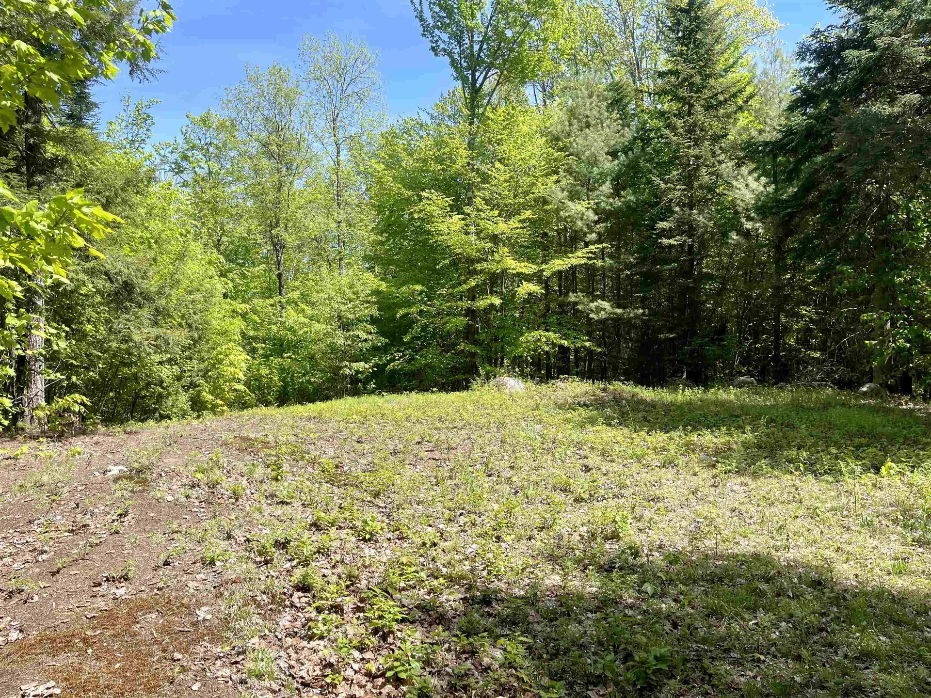 0 Saxie Welch Trail Newbury VT 05051