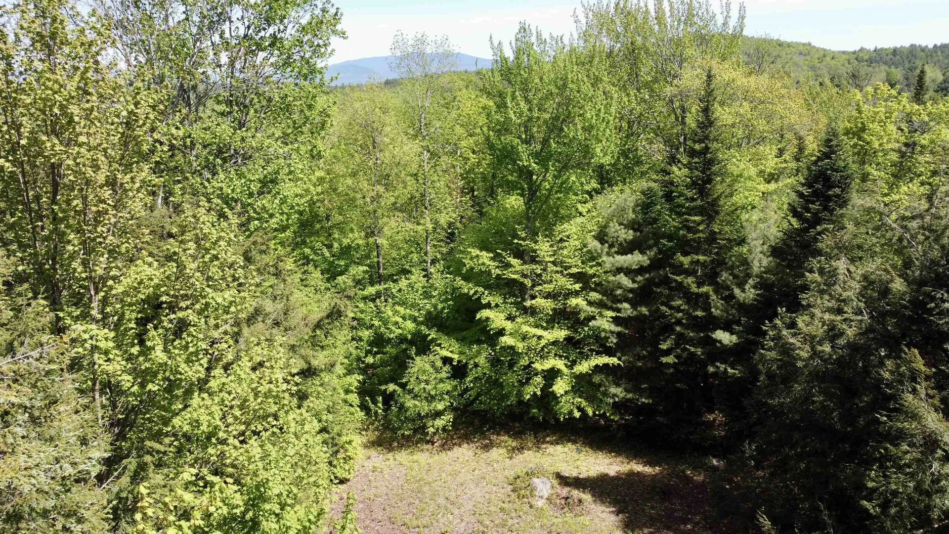 0 Saxie Welch Trail Newbury VT 05051