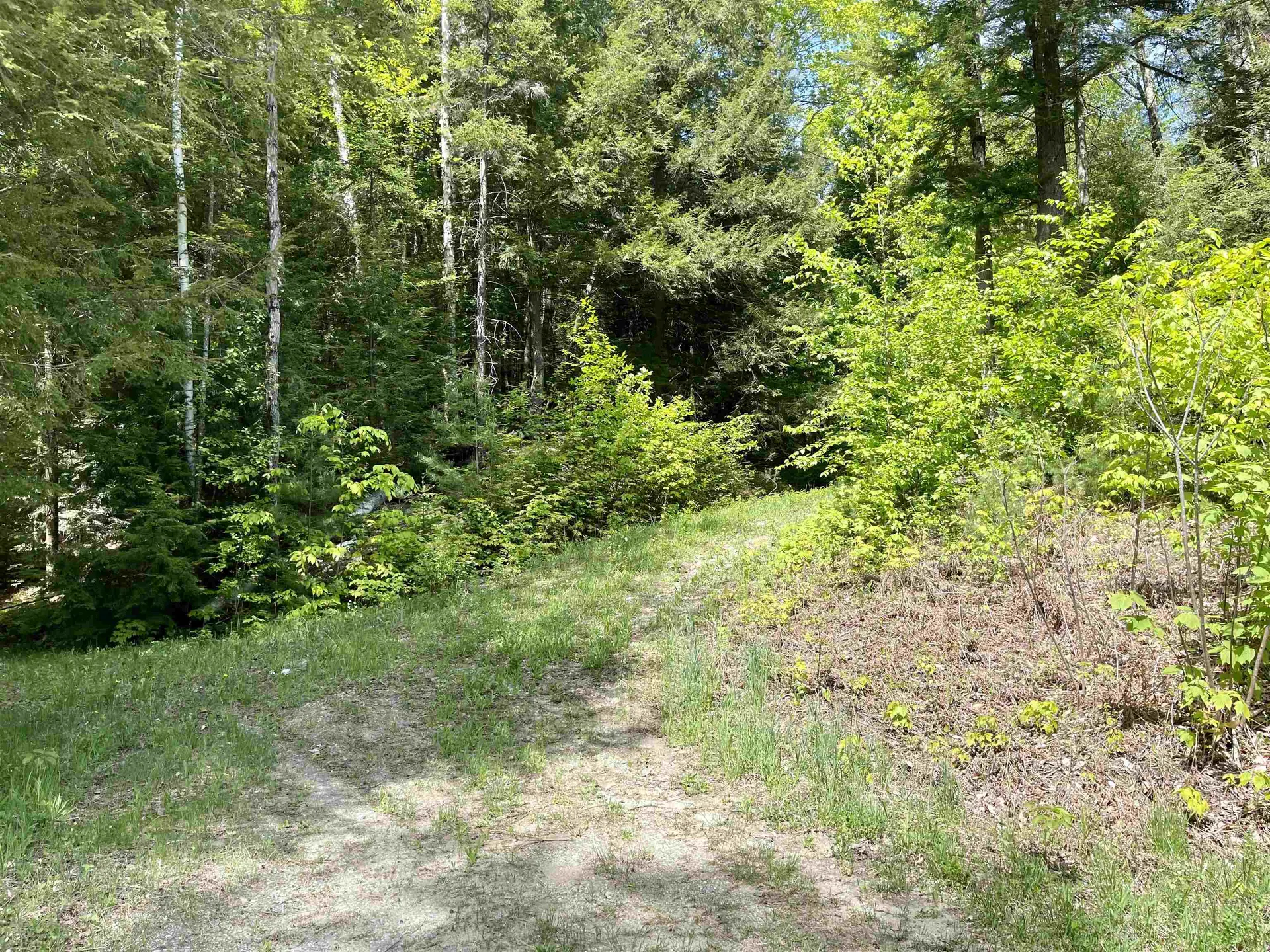 0 Saxie Welch Trail Newbury VT 05051