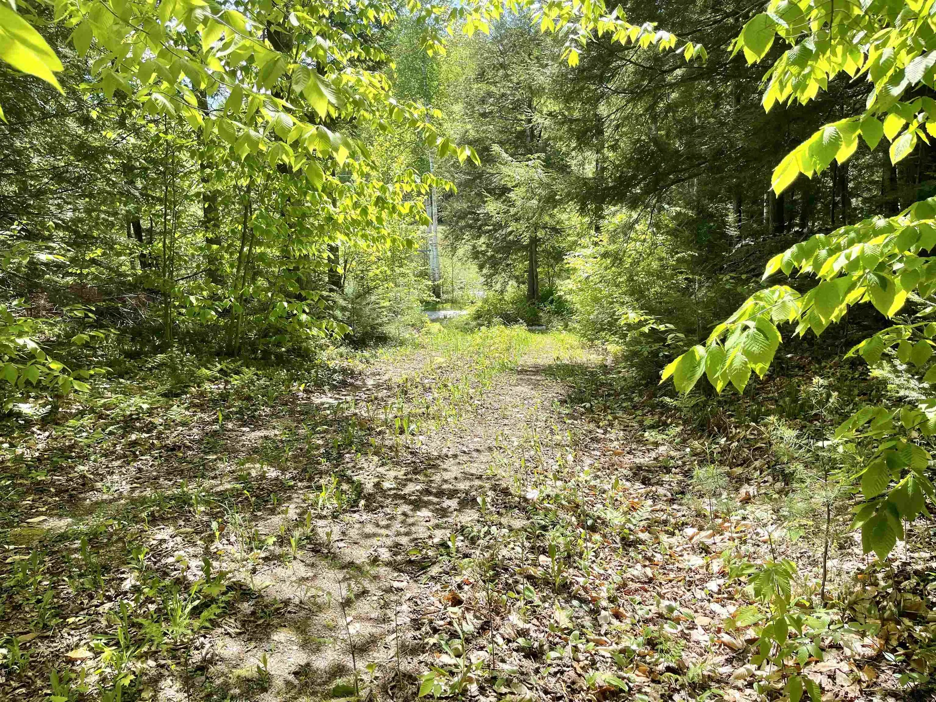 0 Saxie Welch Trail Newbury VT 05051