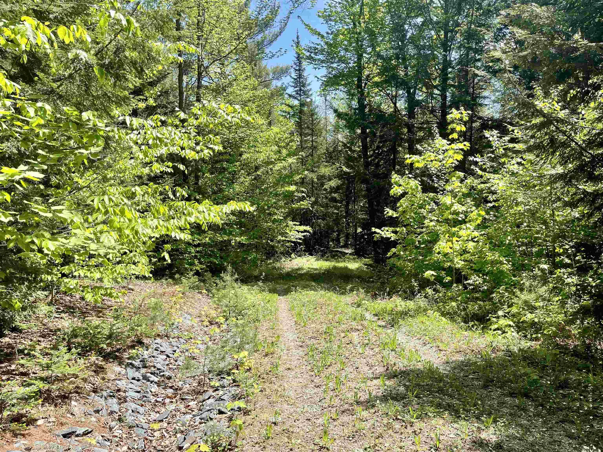 0 Saxie Welch Trail Newbury VT 05051