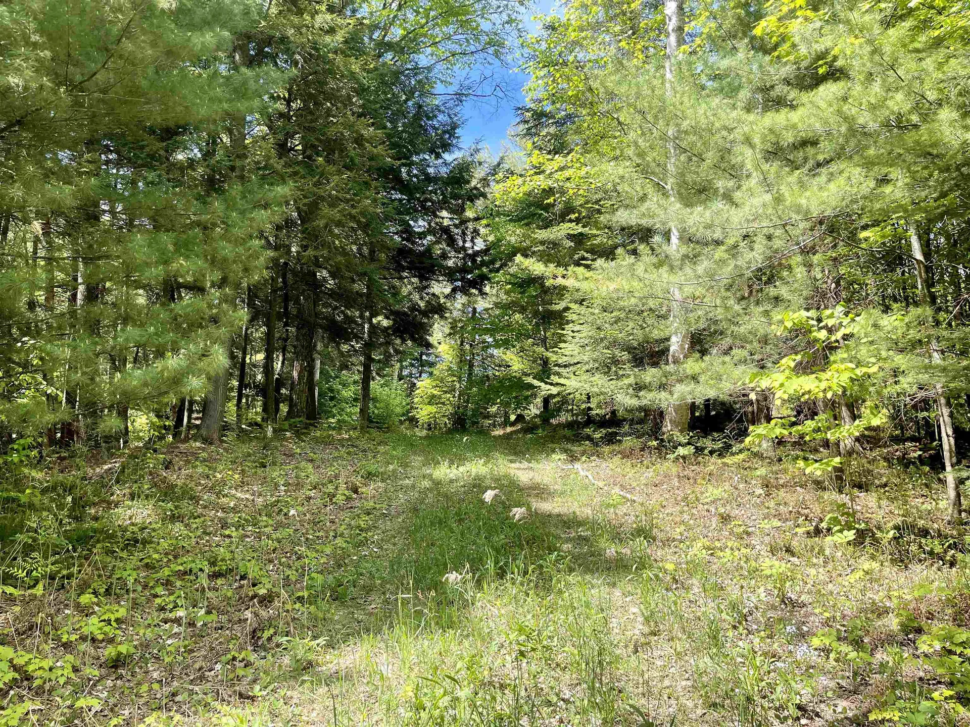 0 Saxie Welch Trail Newbury VT 05051