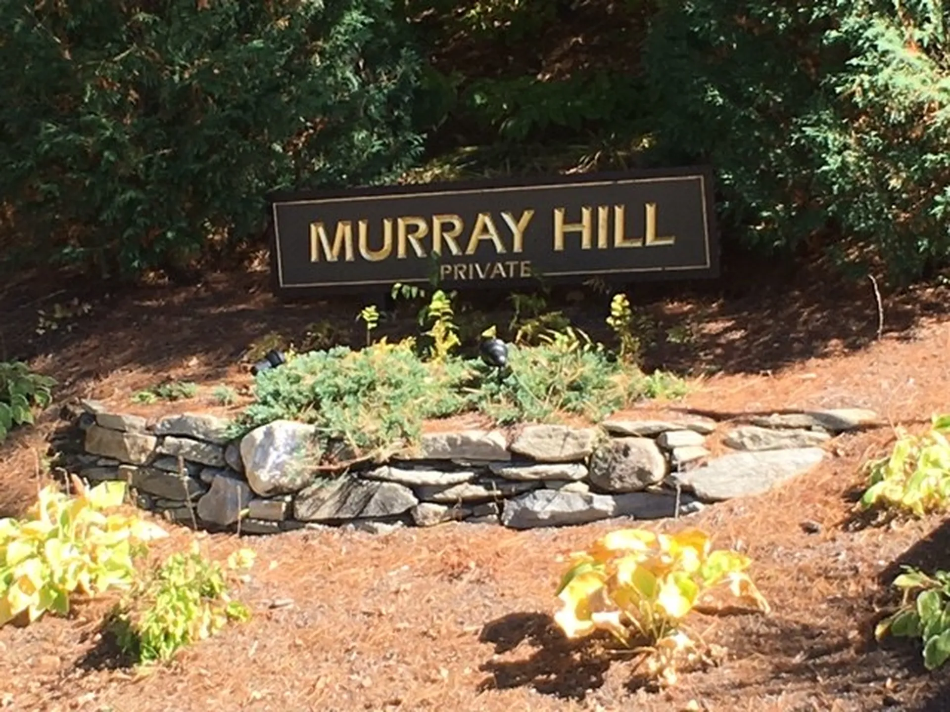59-30 Murray Hill Heights Drive Manchester VT 05255