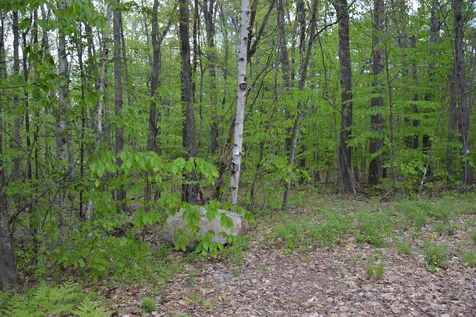 Winterhaven Road Wolfeboro NH 03894