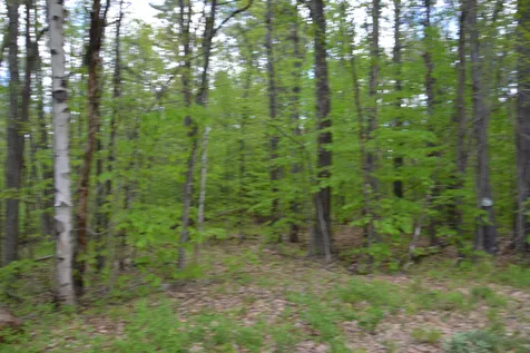 Winterhaven Road Wolfeboro NH 03894