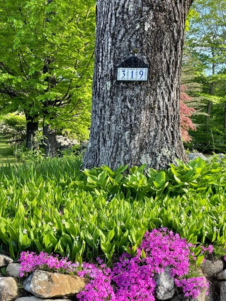 319 Upper Troy Road Fitzwilliam NH 03447