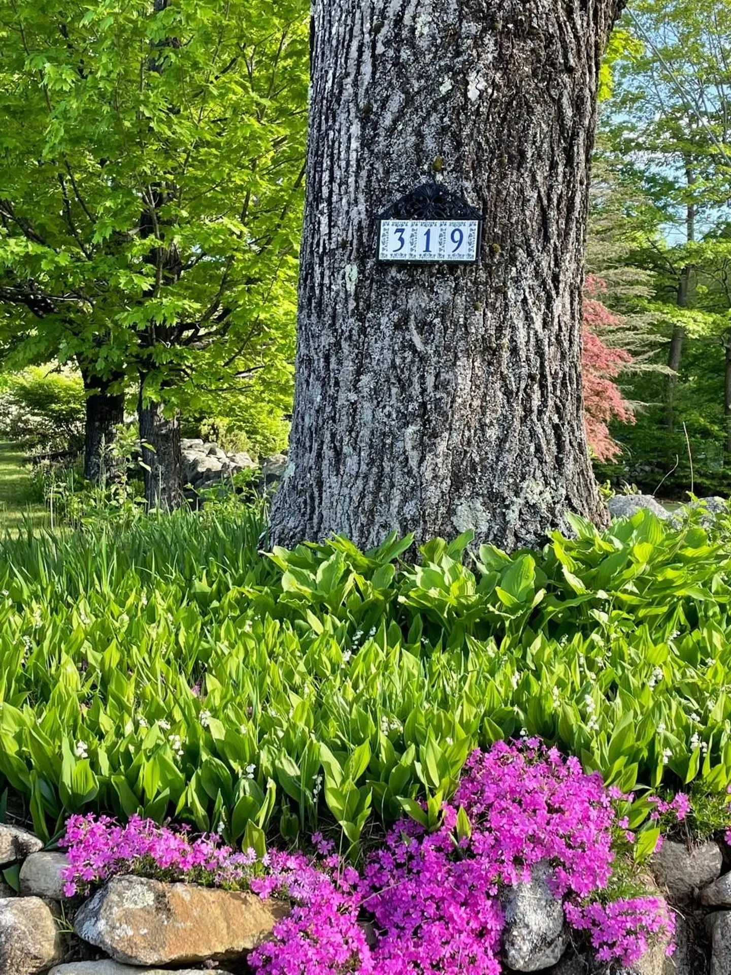319 Upper Troy Road Fitzwilliam NH 03447