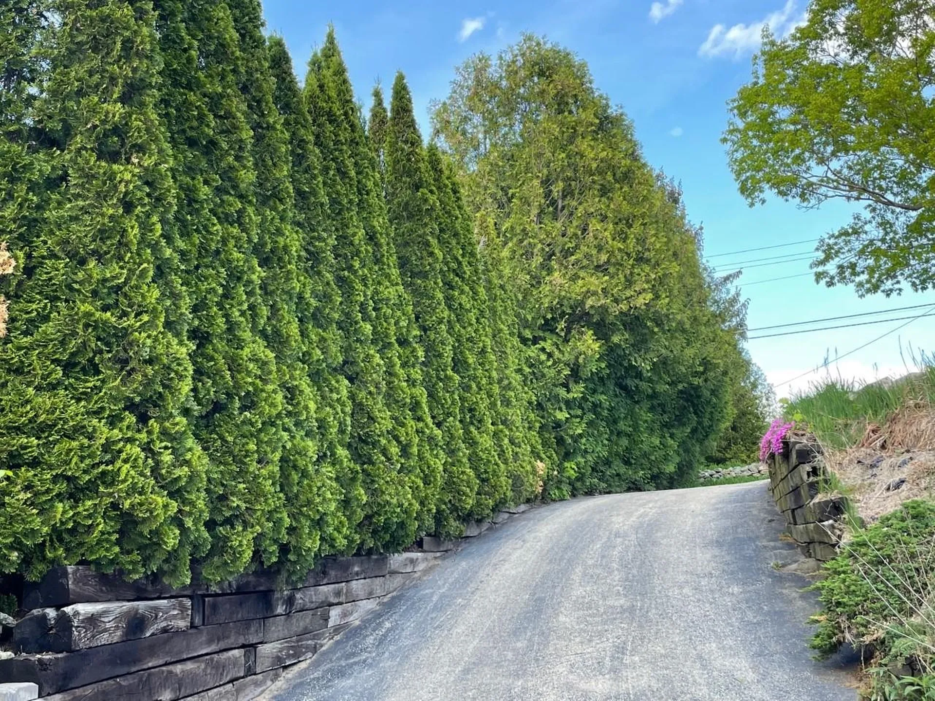 319 Upper Troy Road Fitzwilliam NH 03447