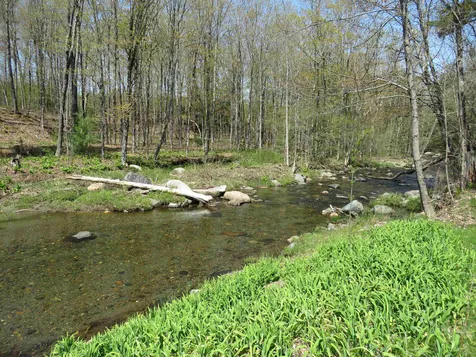 421 Willow Brook Road Plainfield NH 03781