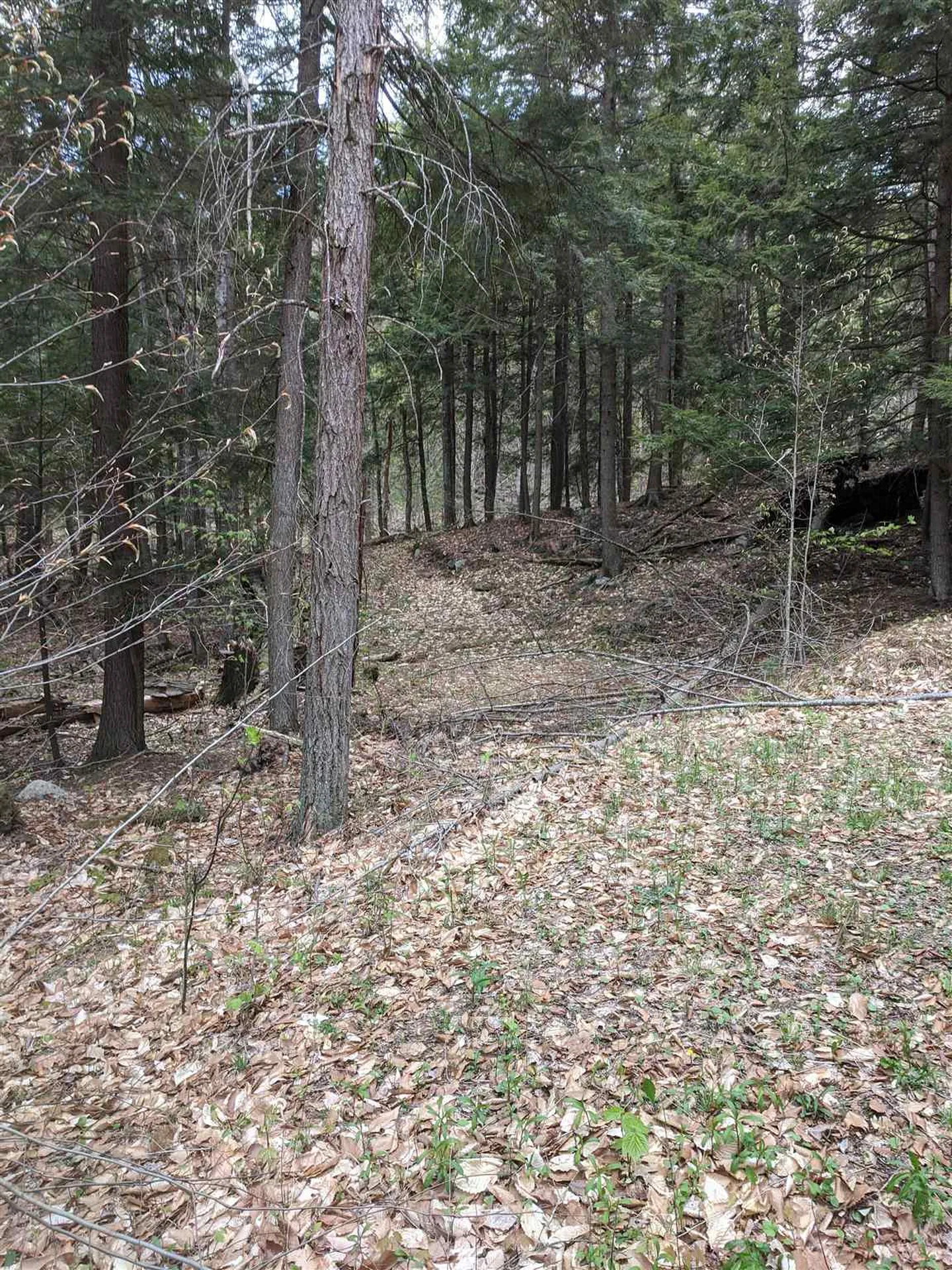 00 Barker Road Thetford VT 05058