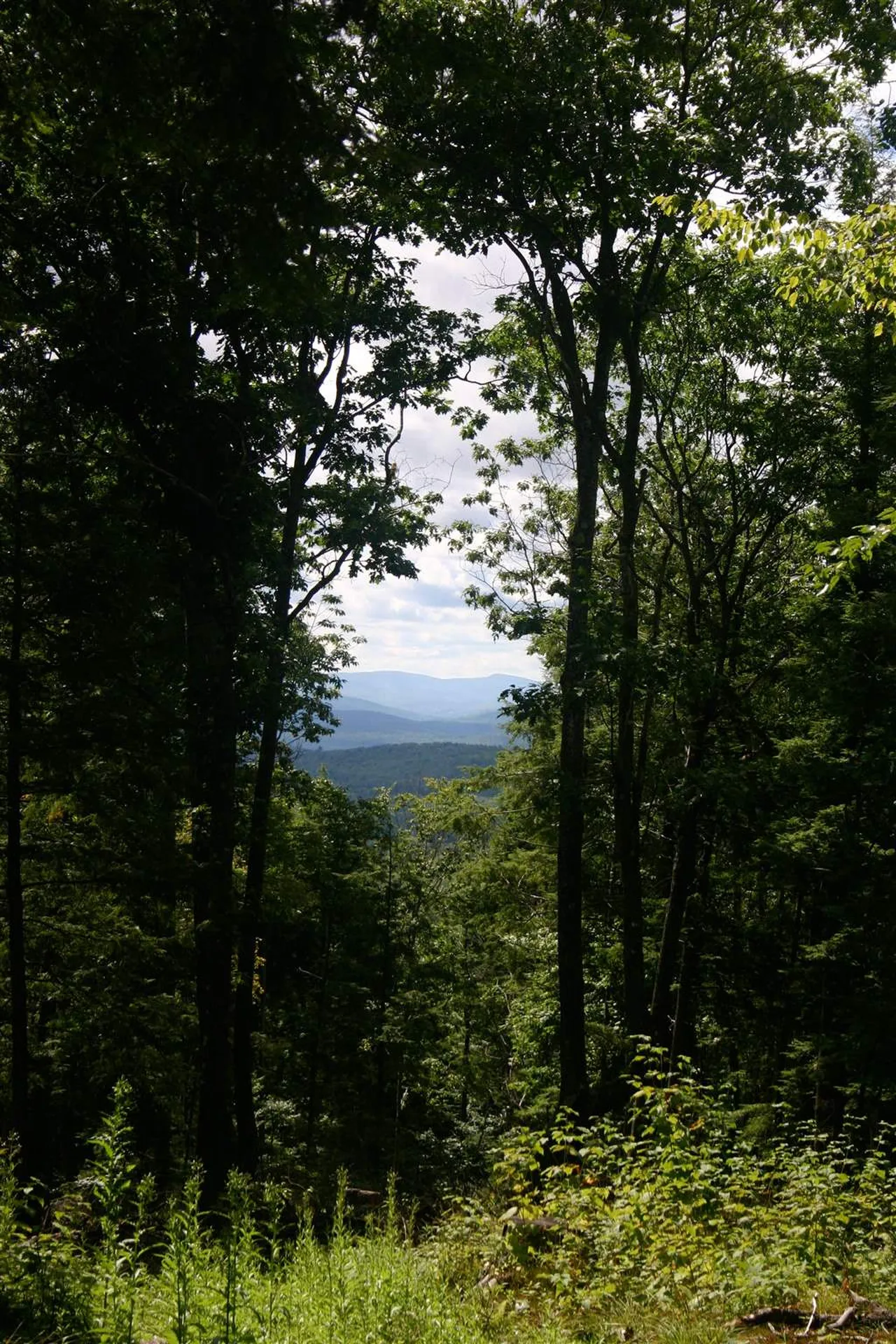 00 Barker Road Thetford VT 05058