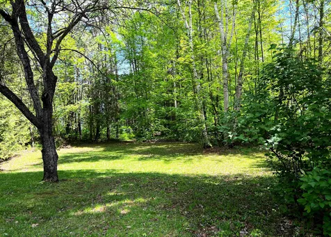 993 Harvey Mountain Road Barnet VT 05821