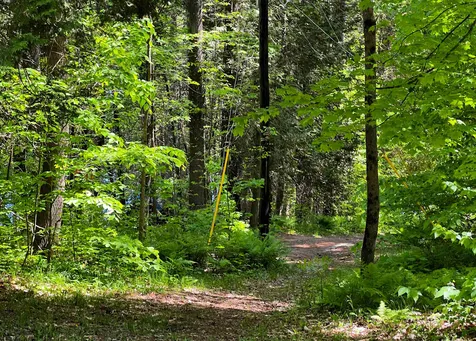 993 Harvey Mountain Road Barnet VT 05821
