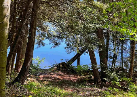 993 Harvey Mountain Road Barnet VT 05821