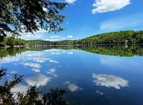 993 Harvey Mountain Road Barnet VT 05821