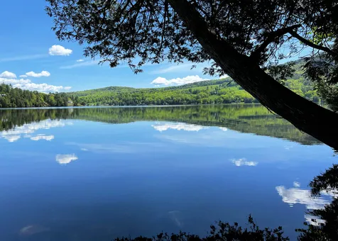 993 Harvey Mountain Road Barnet VT 05821