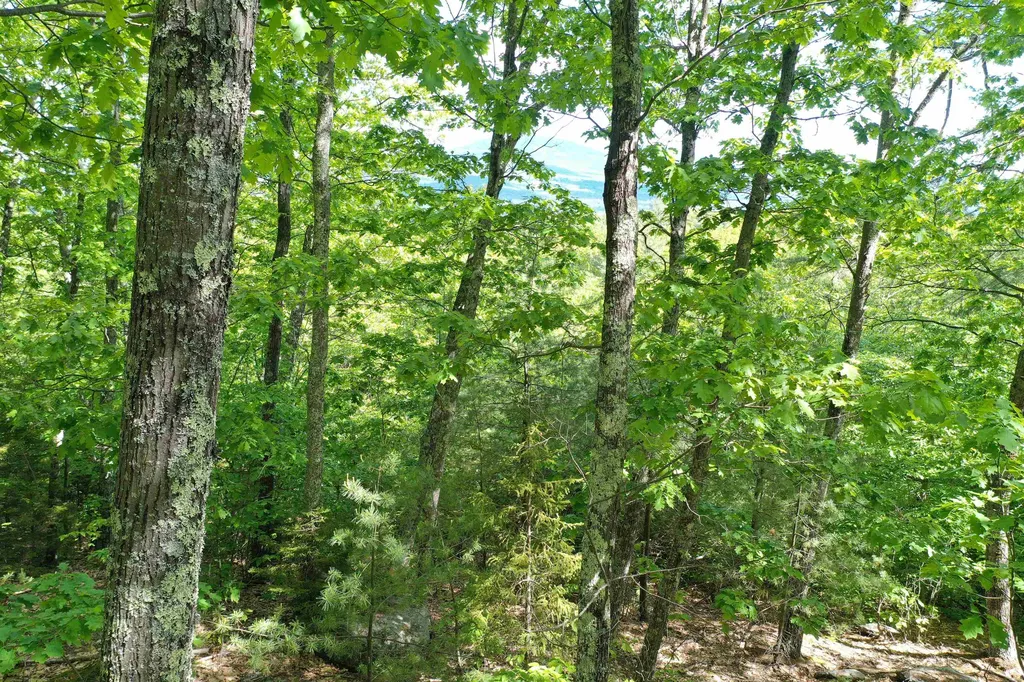 Grace Road Wilmot NH 03287