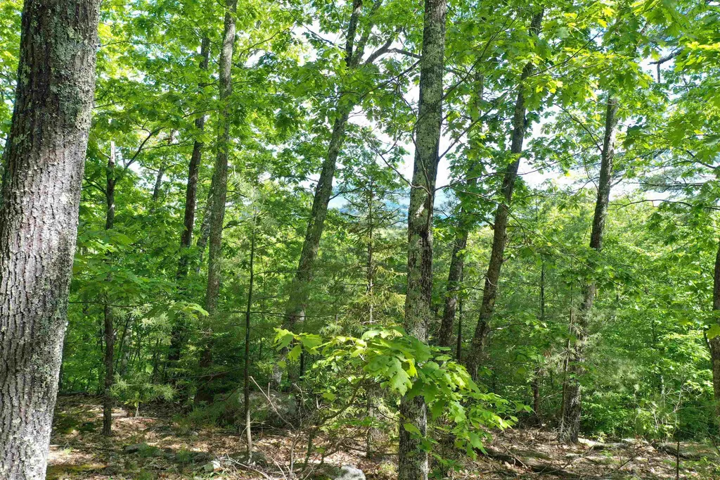 Grace Road Wilmot NH 03287