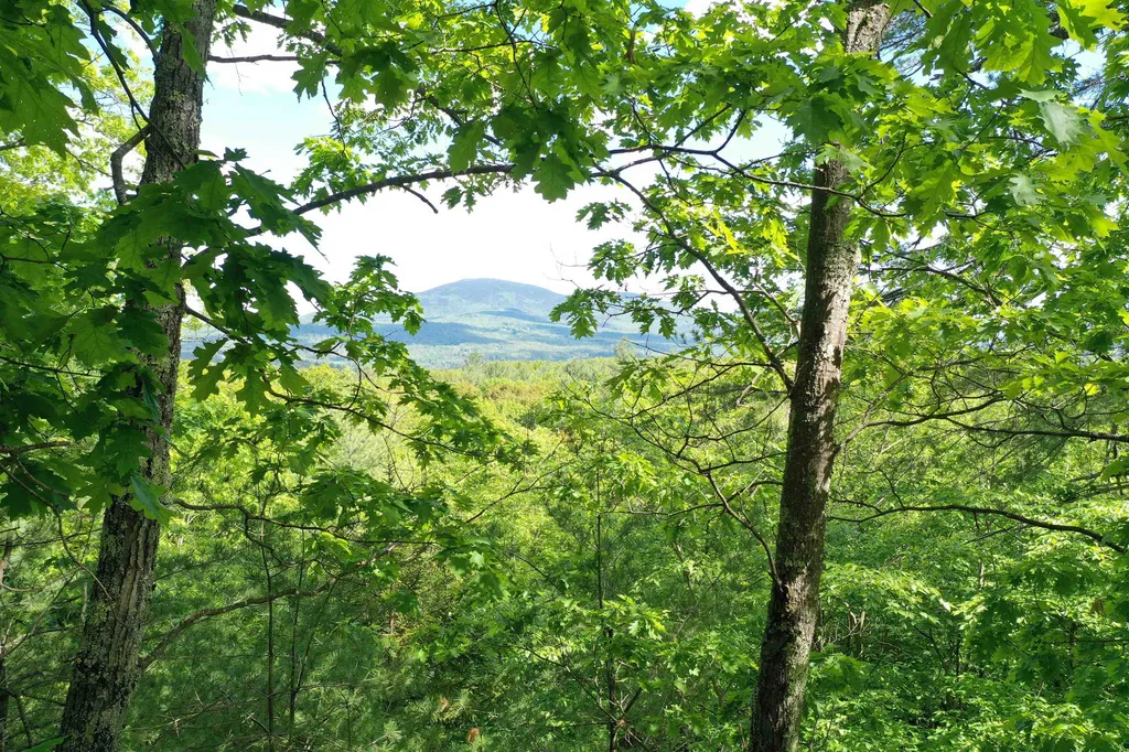 Grace Road Wilmot NH 03287
