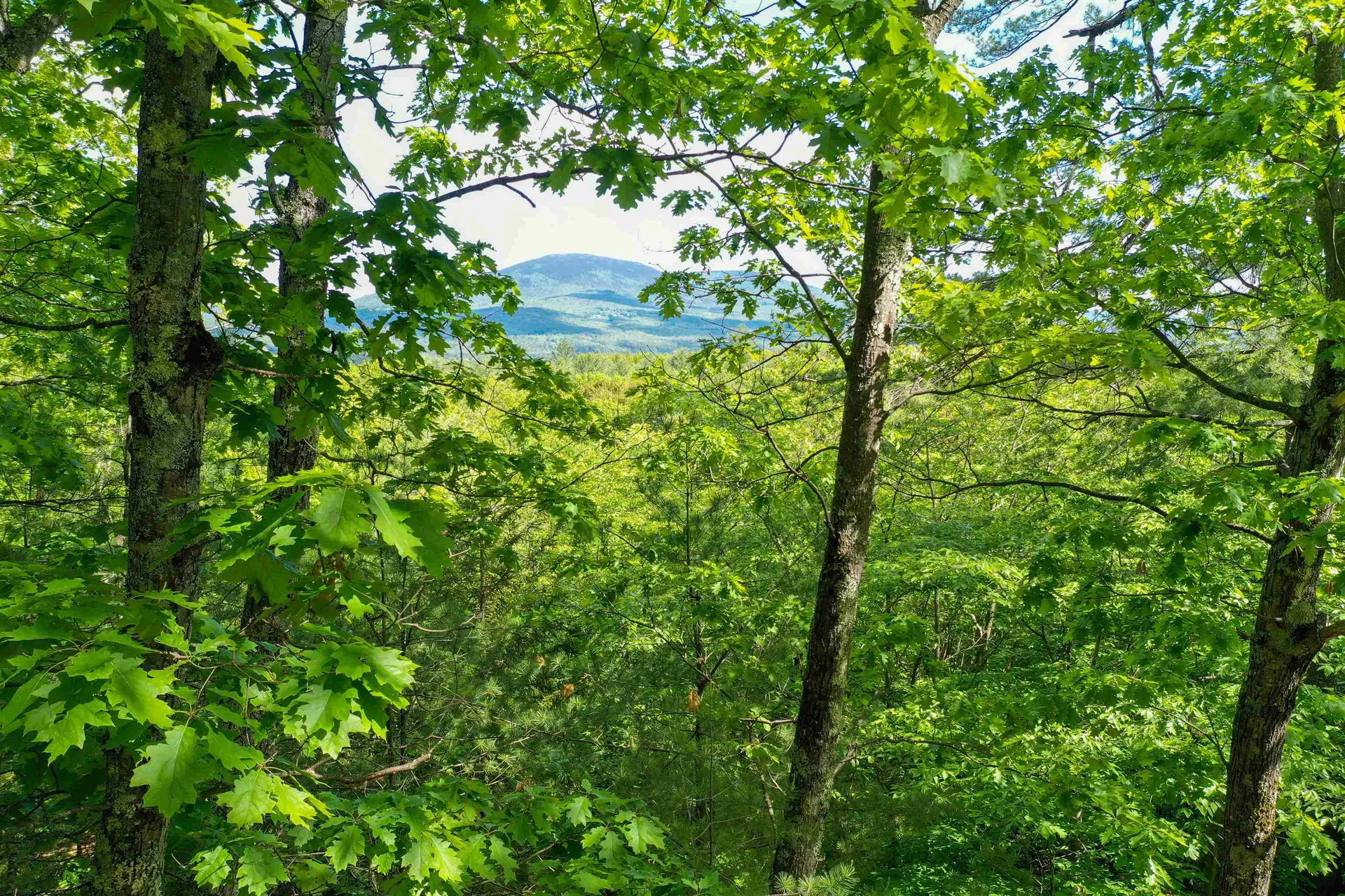 Grace Road Wilmot NH 03287