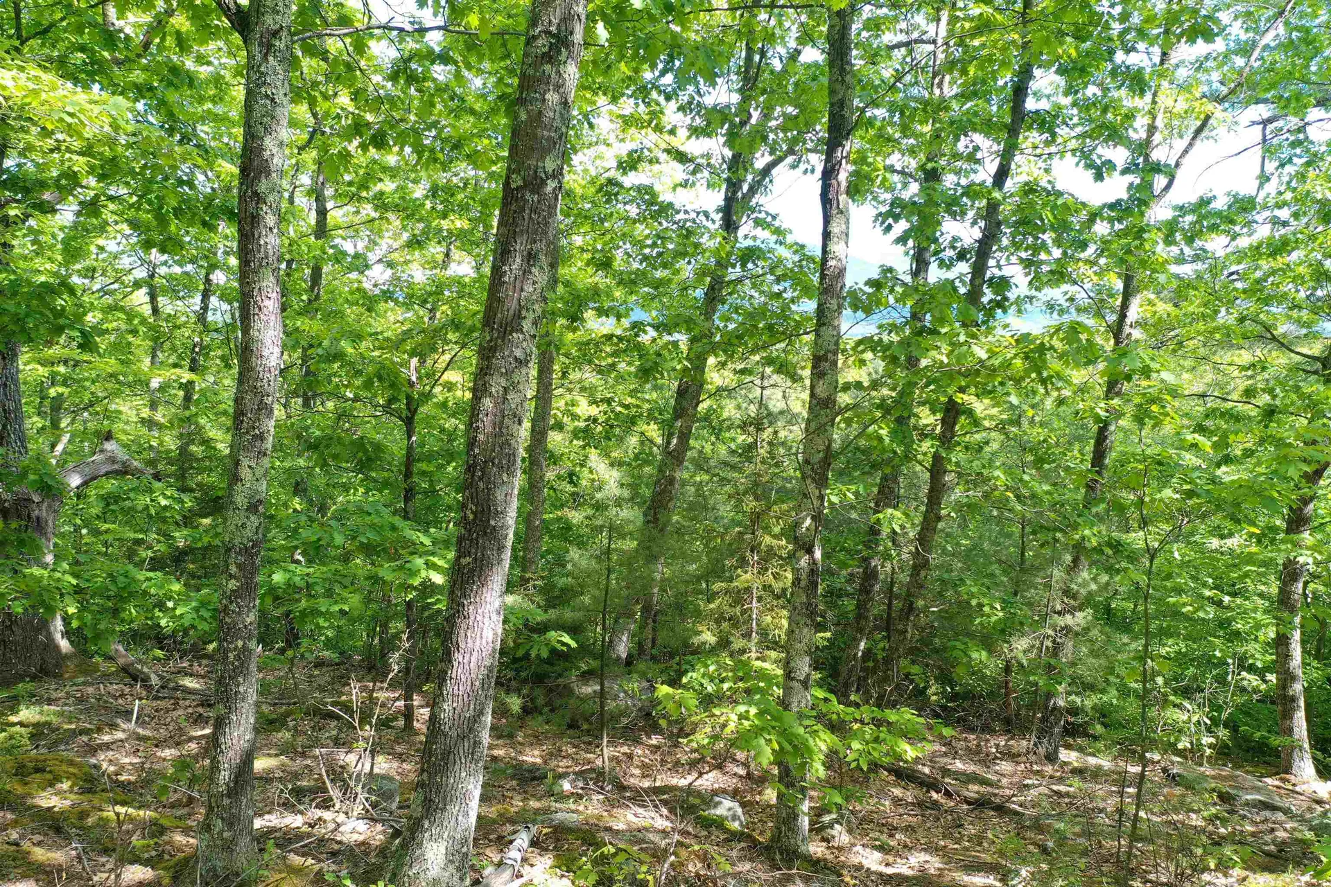 Grace Road Wilmot NH 03287