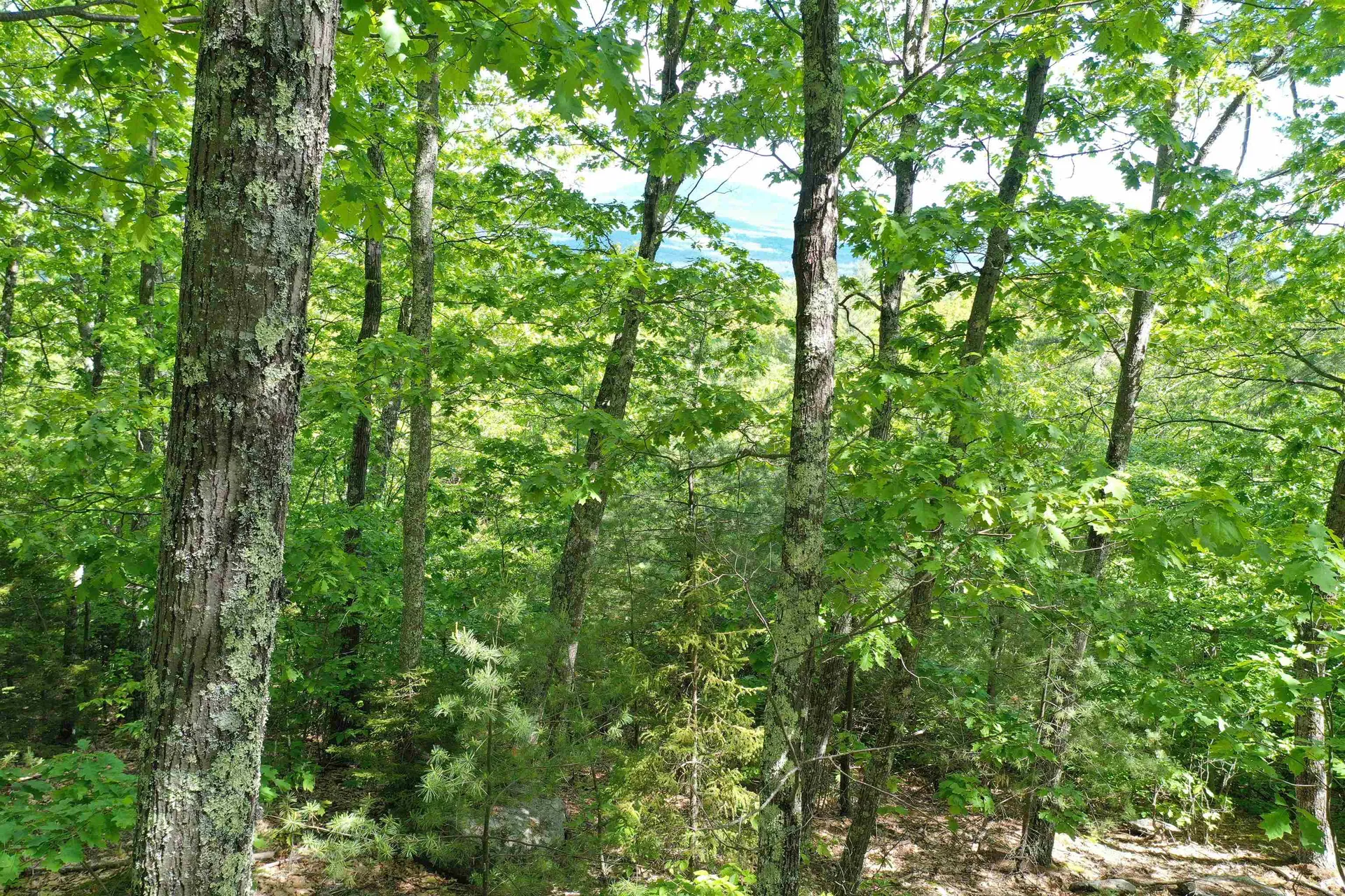 Grace Road Wilmot NH 03287